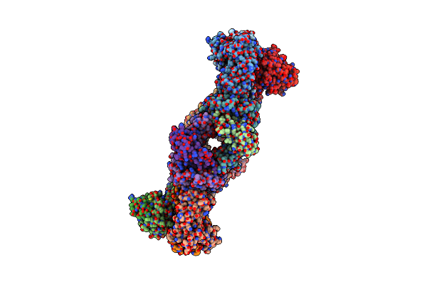 8DNT image