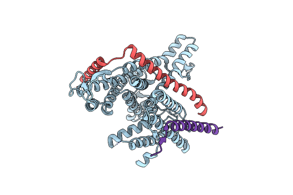 8DNV image