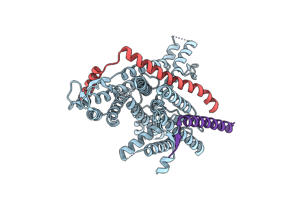 8DNW image