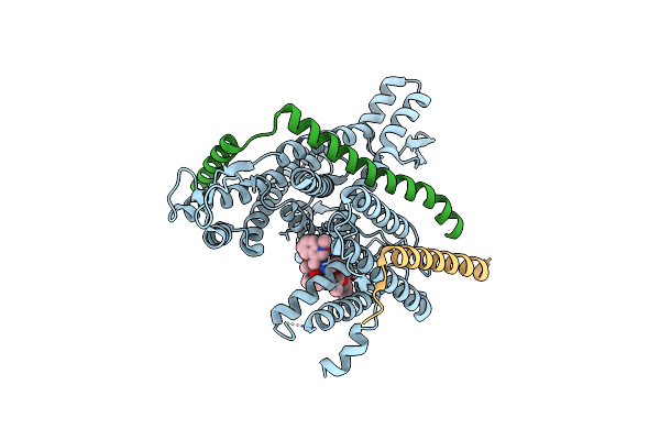 8DNX image