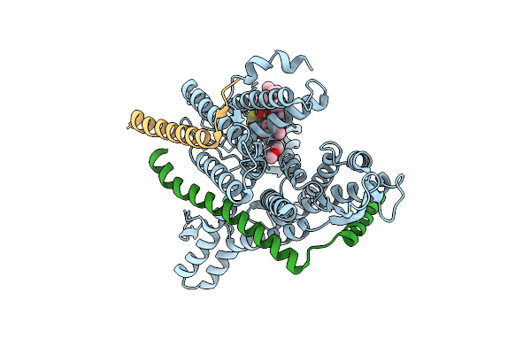 8DNZ image