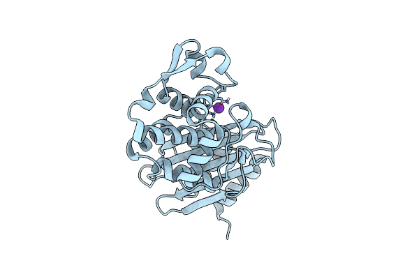 8DOD image