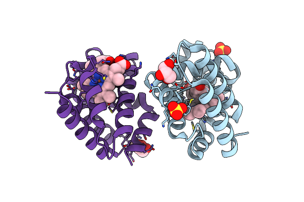 8DOH image