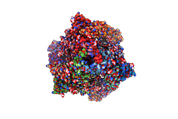 8DOK image
