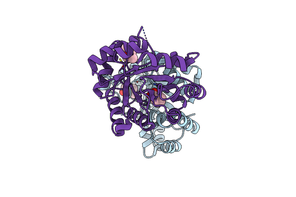8DOQ image