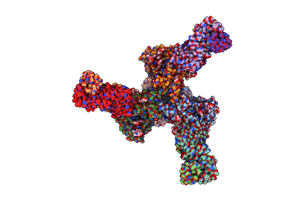 8DOW image