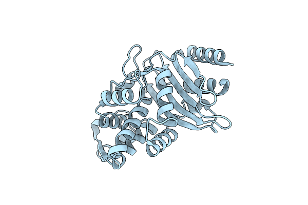 8DP4 image