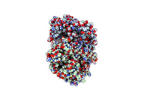 8DP5 image
