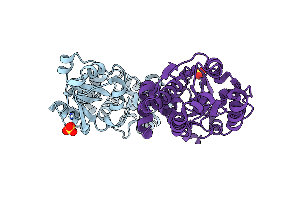 8DP6 image