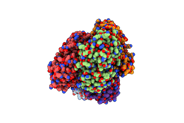 8DP7 image