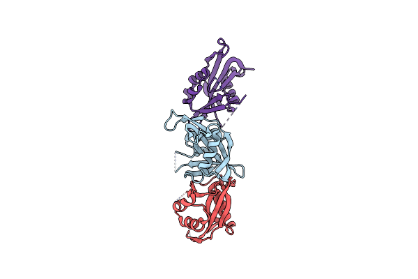 8DP8 image