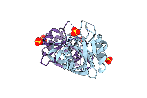 8DP9 image