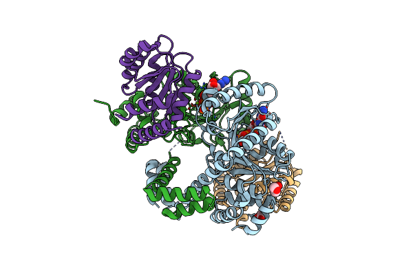 8DPB image