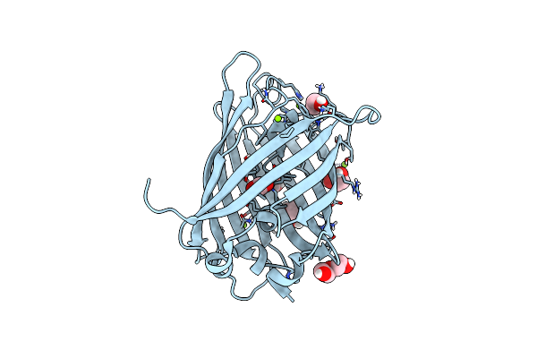 8DPD image