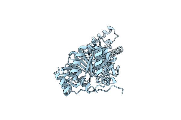 8DPE image