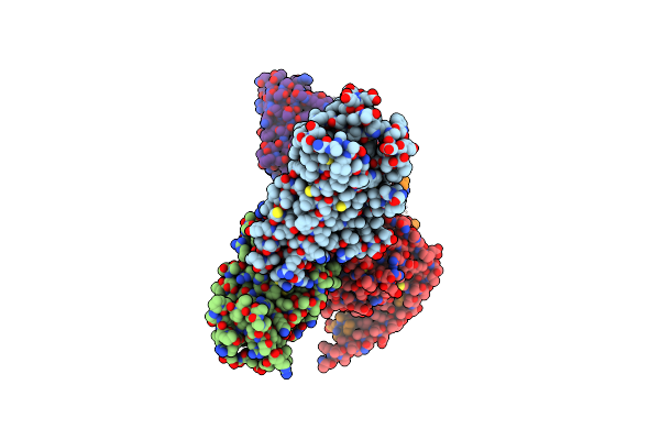 8DPG image
