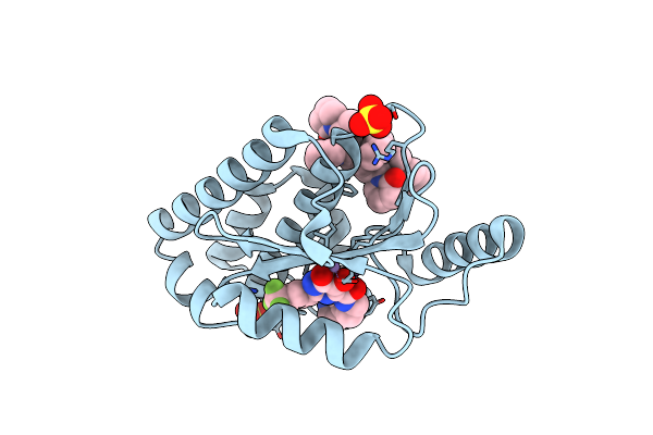 8DPJ image