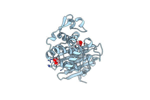 8DPQ image