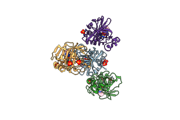 8DQF image