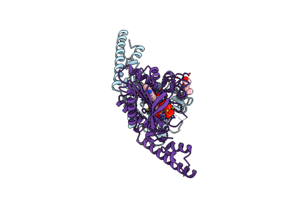 8DQI image