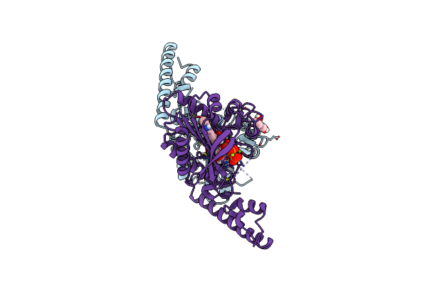 8DQJ image
