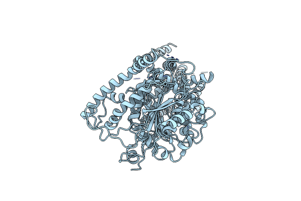 8DQK image