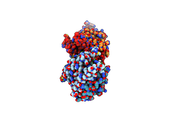 8DQM image