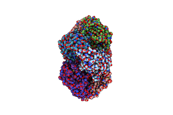 8DQN image