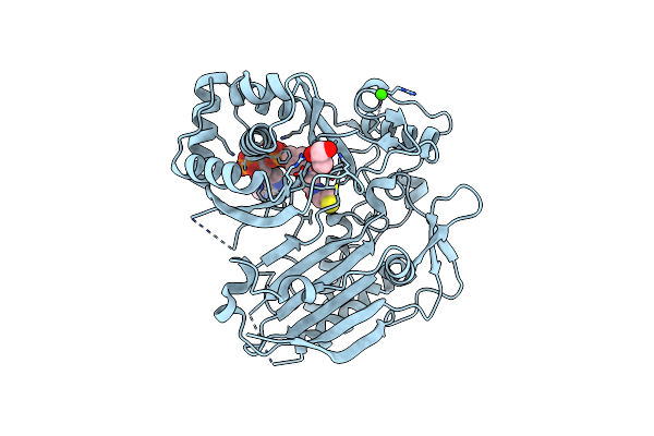 8DQR image