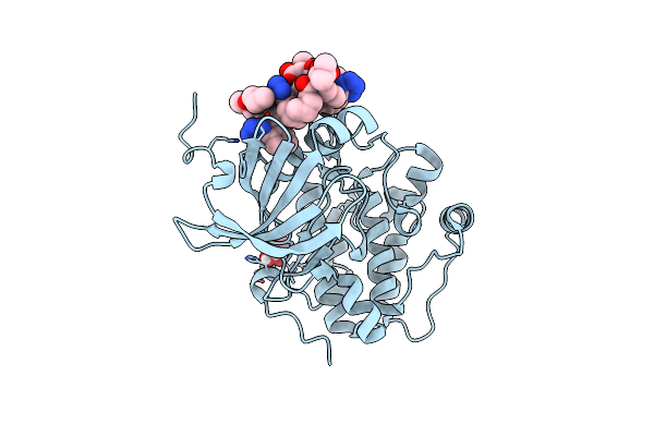 8DQT image