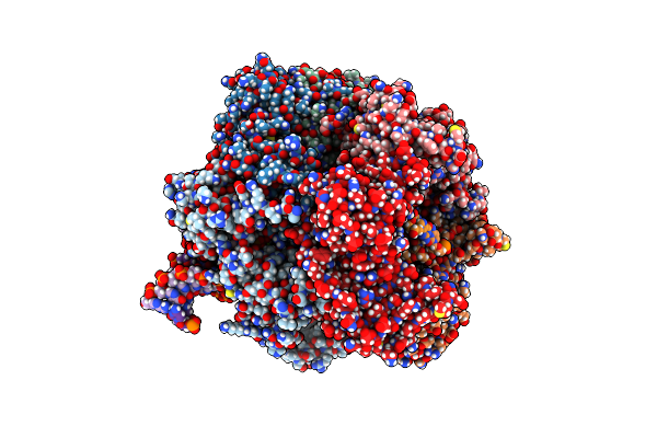 8DR1 image