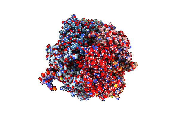 8DR4 image