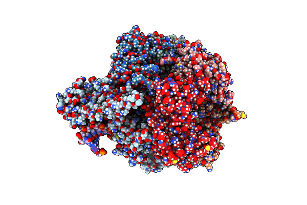 8DR5 image
