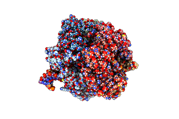 8DR6 image