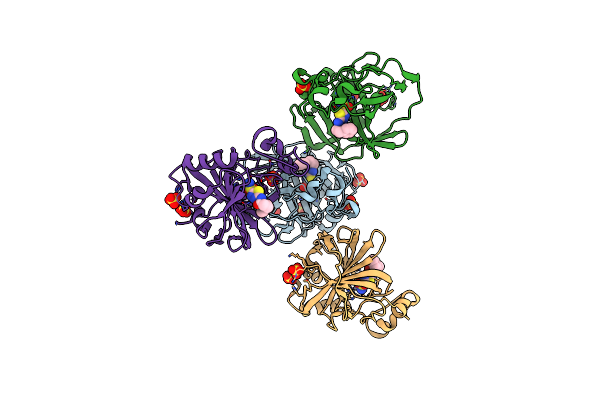 8DRB image