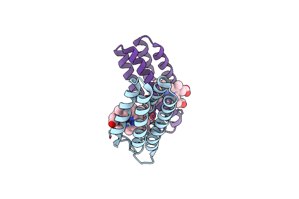 8DRD image