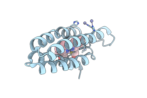 8DRF image