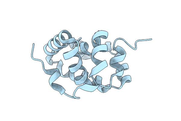 8DRG image