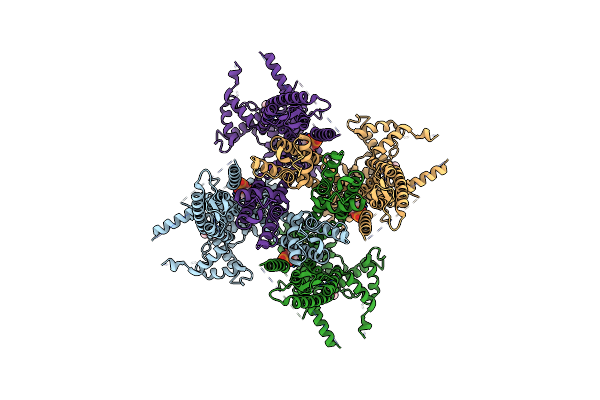 8DRP image
