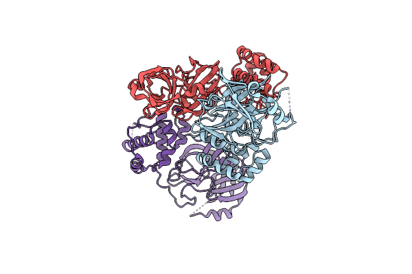 8DRR image
