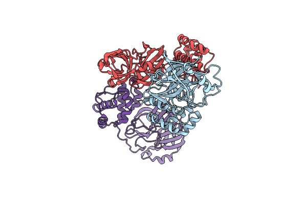 8DRS image