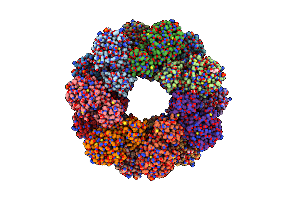 8DRW image
