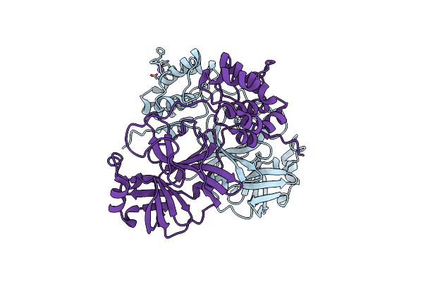 8DRX image