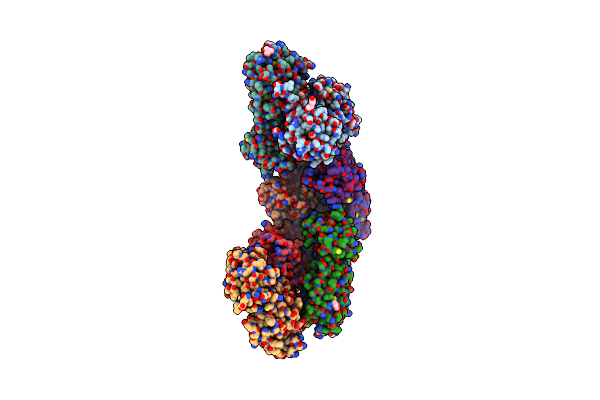 8DRZ image