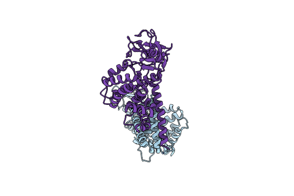 8DS6 image