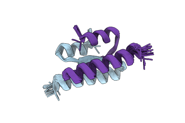 8DSB image