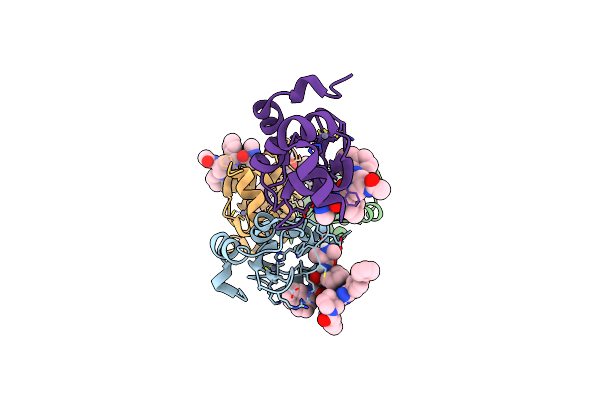 8DSF image