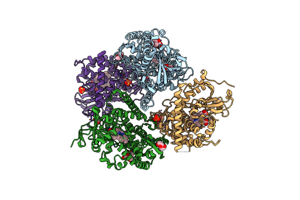 8DSG image