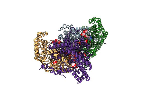 8DSK image