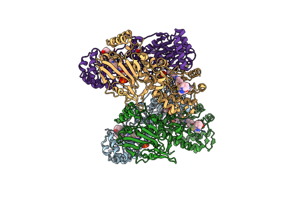 8DSM image